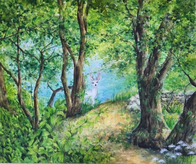 호수